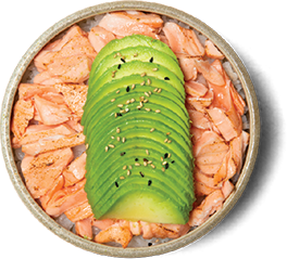 Tartare Saumon Avocat